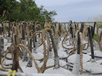 Galerie Cultivation